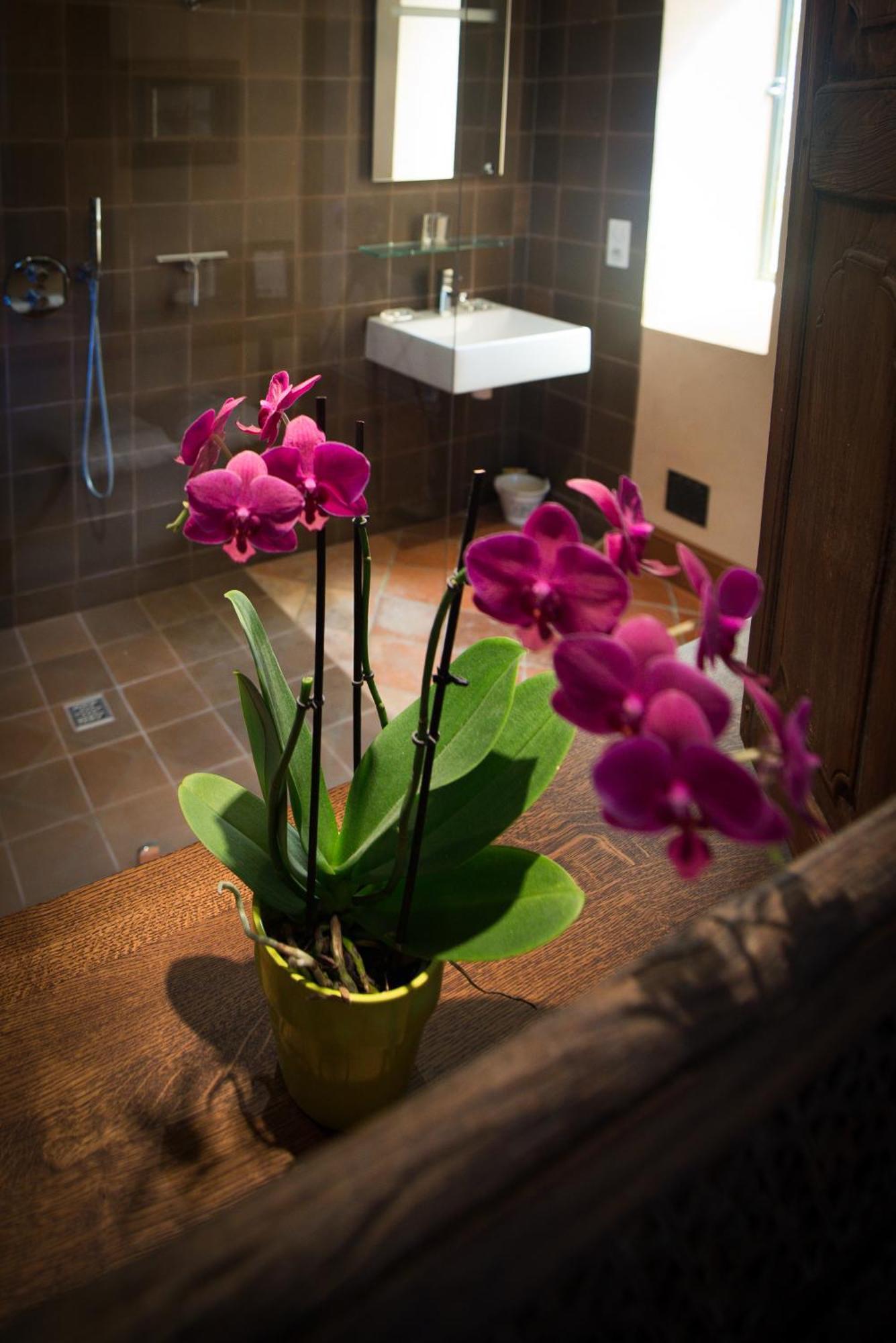 Chambres D'Hotes Domaine De Nazere Avezan Room photo